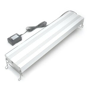 ANAVXe ANAEpLEDv AXY L1 600 W(zCg)