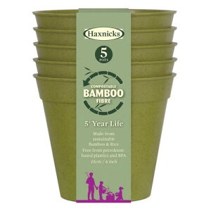 �|�� �A�ؔ� 15cm 5�Z�b�g �o���u�[�|�b�g �T���r�A�O���[�� Bamboo Pot �|�b�g (�|���A�ؔ�)