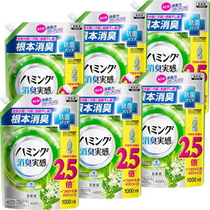 n~O L tbVO[̍ lߑւ1000ml×6 ̔ e сA2iKL