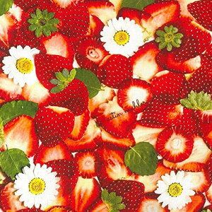 KIYOHARA astin muhler AXeB[[ C 100% JbgNX 110cm×50cm AMF-01C