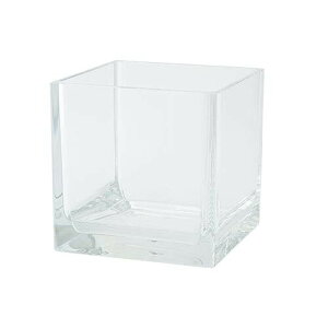 zCG HAMMER GLASS(n}[OX) ԕr XNGA 15cm p NA Ȃ |J[{l[g F