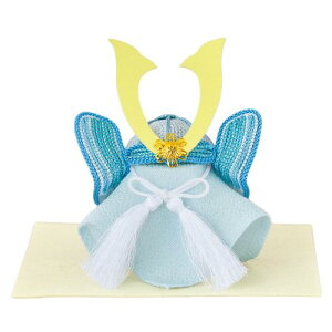 Panami �p�i�~ �[�߂̐ߋ�L�b�g ���^���b�N���[���ō�� �p�X�e���� PAN-TG5