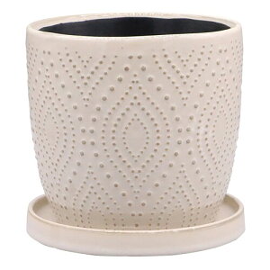 �f���L (dellki) �h�[�Z�|�b�g B Doce �z���C�g L�T�C�Y [�t�@�C]155×H145mm FD08WH