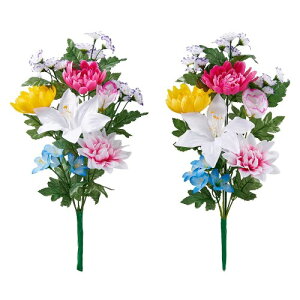 ACfBA(Aimedia) Edp  2g 45cm     sv ͂Ȃ  t[fUCi[ďC Q ~ ފ c