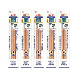 g{M M ꂢɏ M 4B i` 10{(2{×5pbN) ACJ-265-5P