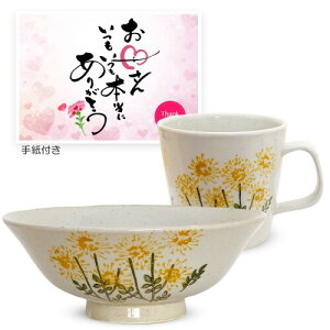 MRq ̓ v[g  q 14cm }OJbv 270ml Zbg g { J|kitchens  CG[
