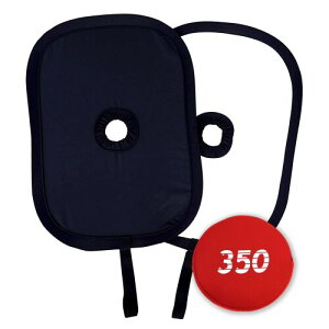 悵݃J E҃t 350 iBe KX̉f荞ݖh~ t