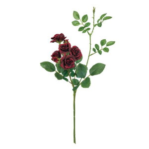 ������(Tokyodo) MAGIQ �A�[�e�B�t�B�V�����t�����[ �p���b�g���[�Y #7 BURGUNDY FM000160-007