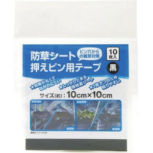 Dio hV[gspe[v  10cmX10cm 10 252485 |x