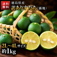 【露地】 すだち 徳島県産 訳あり 1kg｜スダチ 国産 徳島産 2L～4Lサイズおまかせ 柑橘 フルーツ 業務用 …