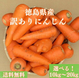 【送料無料】 訳ありにんじん 徳島県産 10kg 20kg 訳あり 規格外品 2024年 人参 ニンジン 国産 お得! 甘みたっぷり 不揃い サイズ混合 こどもも食べられる