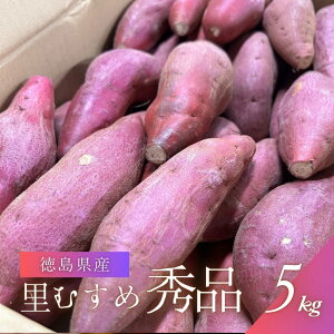 yN[|p10%OFFzyz ނ ܂iIׂ5kgE10kgjbY Y ܈ Tc}C F   lߍ킹     M