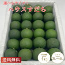 【送料無料】徳島県産 すだち 秀品 2L/3L〜4Lサイズから選べます 約1kg 大容量 すだち 徳島産 スダチ 酢の物 お刺身 焼き魚 すだち酒 調味料 家庭用 ギフト 贈答用 人気 高級 新鮮 国産 果実 季節
