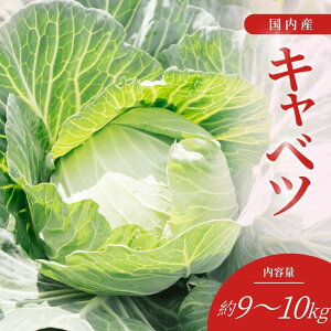 yzLxc Gi Ai 10kg(8`10ʓ) TCY܂ QnE쌧Y Y VN Â݂Ղ VLVLH i  T_ ϕ 痿 uߕ Ђ e ƒp 