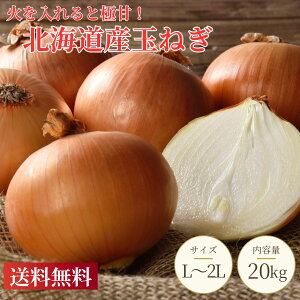 yzkC ʂ˂ 20kgiL`2LTCY܂jÂĂ炩IJ[EύݗET_EX[vɍœKbƖpEƒp Y܂˂ kCʂ˂ VN e 