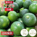 【送料無料】 訳ありすだち 2L〜4Lサイズ 混合 約1kg 徳島県産 お買い得品 規格外品 化粧箱入り お刺身 焼き魚 すだち…