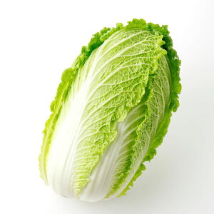 yzY  6`8ʁi12`15kgjƖpEƒpɍœKIEЕEϕET_EuߕƕLɎgVN؁B݂݂ÂIHXE܂Ƃߔɂ