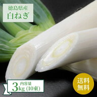 白ねぎ 約3kg 徳島県産 10束入 【送料無料】 新鮮 旬 白ネギ 長ねぎ 葱 大容量 まとめ買い 野菜 家庭用 …