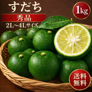 �������Y ������ ��1kg 2L/3L�`4L�T�C�Y ���Y �ʏ`�����Ղ� �u�₩�ȍ���Ƌ����_�� �Ă����E���h�g�E���������ɍœK �G�i �ƒ�p�E�Ɩ��p �M�t�g �퉷�ցE�①�֑I����