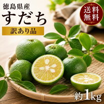 楽天市場】すだち 5kgの通販