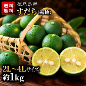 【露地】 すだち 徳島県産 秀品 1kg｜スダチ 国産 徳島産 2L～4Lサイズ選べる 柑橘 フルーツ 業務用 食品 薬味 焼き魚 お刺身 酢の物 すだち酒 一部地域除き 送料無料