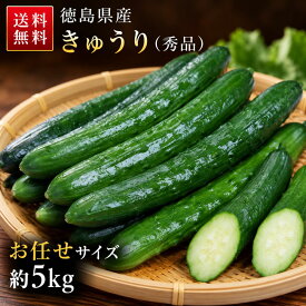 きゅうり 徳島県産 秀品 5kg｜胡瓜 キュウリ シャキシャキ みずみずしい 国産 徳島産 産地直送 家庭用 業務用 サラダ 漬物 炒め物 送料無料