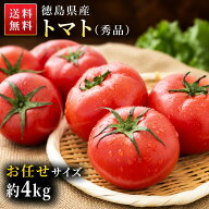 トマト 徳島県産 約4kg 【送料無料】 とまと 新鮮 生トマト 徳島 国産 旬 野菜 詰め合わせ まとめ買い 常…