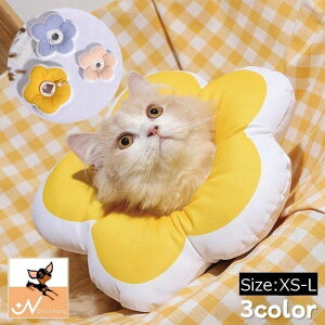 GUxXJ[ L  ^ ybgpi  \tg _炩 y z r ~h~ ی p̃PA  PK pEF