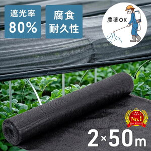 y z & 10% z10()0`撅N[| Ռlbg _Ɨp |   x_ A _ 1m rj[nEX 50m 10m 悯 _Ɨplbg Ռ V[g 80% D x_ | 