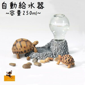 �y�b�g�p ���������� 250ml ���� �E�H�[�^�[�f�B�b�V�� ��f�U�C�� ঒��ޗp �T�p �g�J�Q�p �� �L �C�k ���� �l�R �˂�