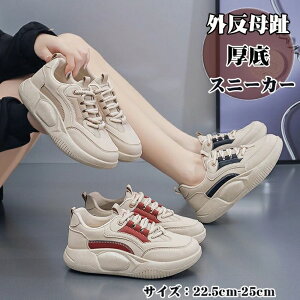 �_�C�G�b�g�X�j�[�J�[�A�_�C�G�b�g�X�j�[�J�[ ���f�B�[�X ����J�W���A���V���[�Y ����X�j�[�J�[ ����X���b�|�� �O������ ���f�B�[�X ����X�j�[�J�[ 3.5cm �l�ԍH�w ���r���� ���L �y�� 