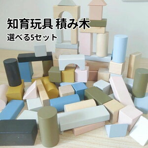 �y���������z�ςݖ� �u���b�N �؂̂������� �m��ߋ� �ϖ� �݂� �Ԃ���� �������� 1�� 1�Δ� 2�΁` �ؐ� ��� �a���� �v���[���g �N���X�}�X �o�Y�j�� �j�̎q ���̎q �m�炨������ �q�� ��