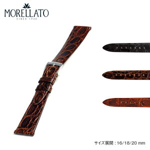 vxg v xg JC}NR jv MORELLATO [g CLASSICO NVR 16mm 18mm 20mm oh voh ւoh  ȒPxgpHt rvxg vxg rv r