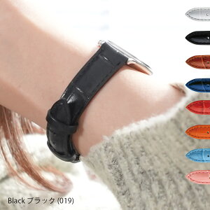 vxg v xg  J[t fB[X v CASSIS JVX DONNA hi NR_C^ D0000312 oh voh ւxg ȒPxgpHt vxg rv x