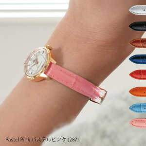 vxg v xg  J[t fB[X v CASSIS JVX DONNA hi NR_C^ D0000312 oh voh ւxg ȒPxgpHt vxg rv x