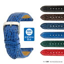 時計ベルト 時計 ベルト シャークスキン Di-Modell ディモデル HAIFISCH WATERPROOF ハイフィッシュ・ウォータープルーフ U1650... ランキングお取り寄せ
