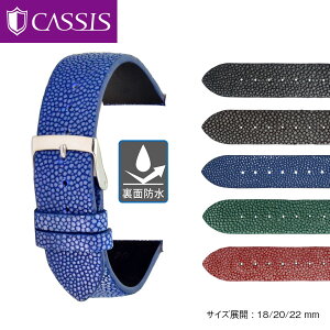 vxg 18mm v xg 20mm K[V(GCv) ʖh CASSIS JVX GALUCHAT C K[V V[ U0066G48 oh voh 22mm ւxg ւoh ȒPxgpHt vxg r