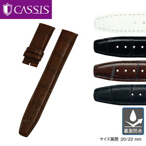 IWC |gM[[ p ʖh vxg 20mm  oh 22mmAQ[^[ jv JVX TYPE POR D ^Cv s[I[A[fB[ X2109339 v voh ւxg ȒPxgpH