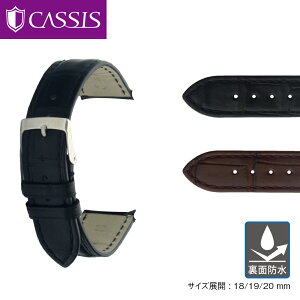 pebN tBbviPATEK PHILIPPEj p ʖh  oh AQ[^[ jv CASSIS TYPE PTK ^Cv s[eB[P[ X2506339 18mm 19mm 20mm vxg voh ւxgȒPxgp