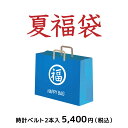 【時計ベルト2本入で5,400円】2019年 マーノ・ア・マーノ 新春 福袋 HAPPY BAG 【送料無料】