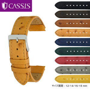 vxg v xg I[Xgb` CASSIS JVX BIELEFELD r[tFg D1096343 oh voh ւxg ւoh  ȒPxgpHt rvxg vxg x