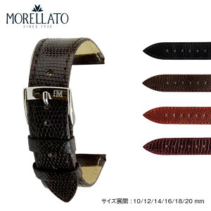 v xg vxg U[h MORELLATO [g PISTOIA sXgCA u0858040 oh voh ւxg ւoh  ȒPxgpHt rvxg rvoh rv 