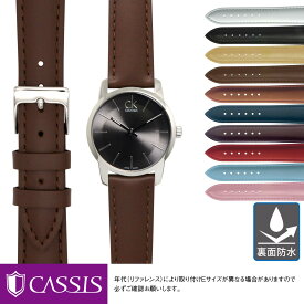 カルバンクライン用 裏面防水 CALVIN KLEIN にぴったりの ベルト バンド CASSIS カシス REIMS U10257A1 簡単ベルト交換用工具付 時計ベルト 時計 ベルト 時計 バンド 時計バンド 替えベルト ベルト 交換 腕時計 バンド ベルト交換 腕時計バンド 腕時計ベルト