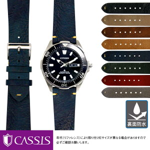 V`Y v}X^[p ʖh CITIZEN PROMASTER ɂ҂ xg oh CASSIS JVX GRENOBLE X0031331 ȒPxgpHt vxg v rv xg vxg voh 