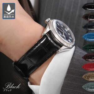 yGg[ōXP5{z vxg 20mm o[ v xg22mm AQ[^[ j CASSIS JVX ADONARA C SHINY AhiV[VCj[ u0036b68 18mm 19mm 21mm oh voh ւxg ȒP