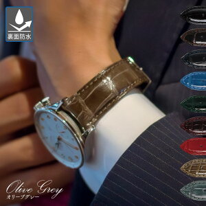 yGg[ōXP5{z vxg 20mm o[ v xg22mm AQ[^[ j CASSIS JVX ADONARA C SHINY AhiV[VCj[ u0036b68 18mm 19mm 21mm oh voh ւxg ȒP