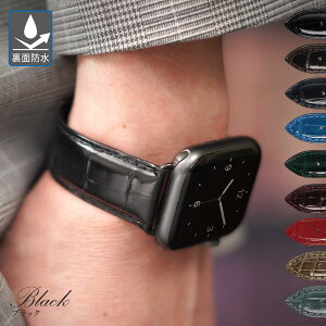 AbvEHb`oh Y xg AQ[^[ U[ applewatch 11 ~1 SE Ultra2 3 Eg 40mm 41mm 42mm 44mm 45mm 46mm 49mm jv JVX ADONARA C SHINY Ahi V[ VCj[ Jo[ Zbg appl