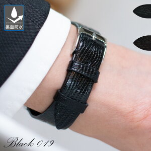 vxg v xg ʖh eW U[h(eWgJQ) CASSIS JVX HAVRE A[ U1089041 8mm 9mm 10mm 11mm 12mm 13mm 14mm 15mm 16mm 17mm 18mm 19mm 20mm oh voh ȒPxgpHt