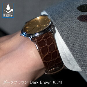 vxg v xg AQ[^[(jv) ʖh CASSIS JVX RIOM C I V[ U1123B68 oh voh ւxg ZCR[Nh[ɂ҂ xgȒPxgpH