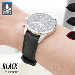 yGg[ōXP5{z vxg v xg o[ ʖh CASSIS JVX ROCHELAIS CARBON VF[J[{ U1137CN1 20mm 22mm oh voh ւxg  ȒPxg o[xg